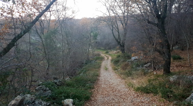 Wanderungen auf Krk