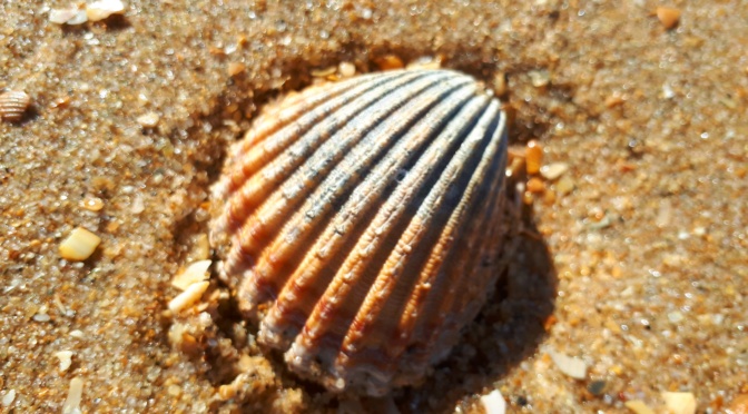 Am Strand von Isla Cristina