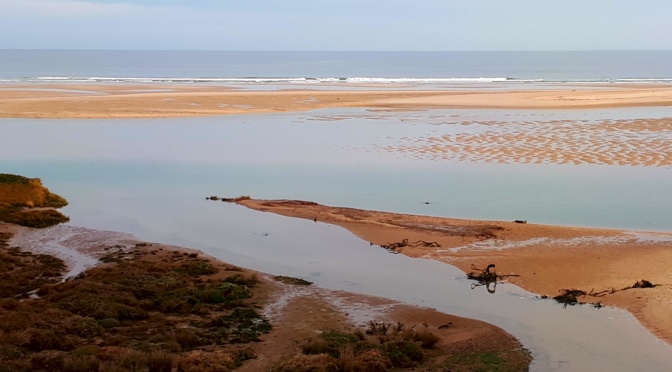 Naturpark Ria Formosa