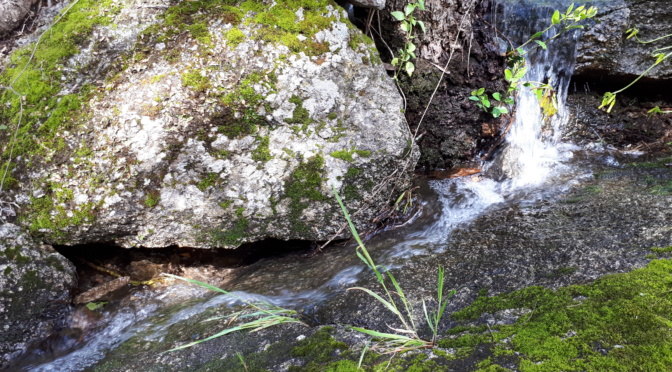 Caldas de Monchique