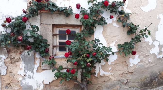 Obidos